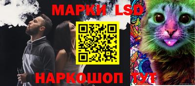 крисы Краснознаменск