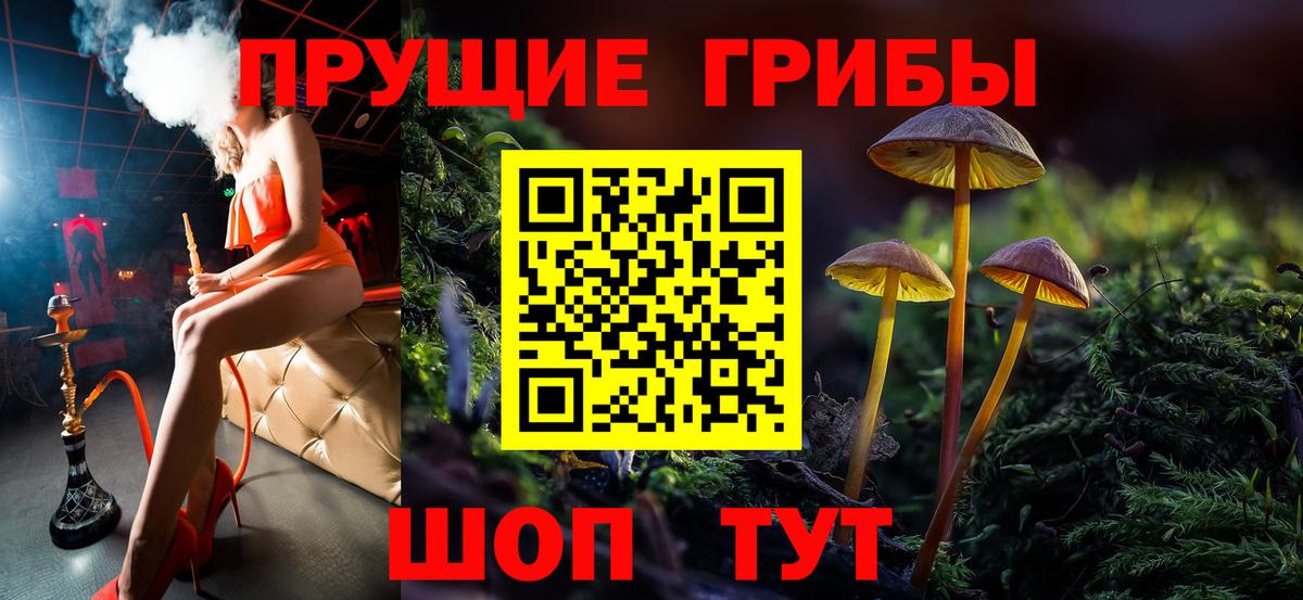 Галлюциногенные грибы прущие грибы Ковров