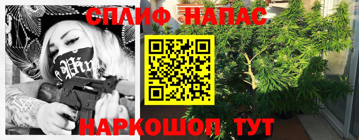 Каннабис сатива  Бошки Шишки марихуана  Бошки марихуана Amnesia  Ковров  Вход с VPN 